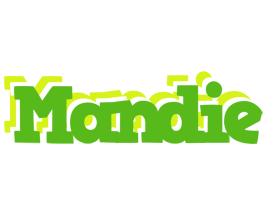 Mandie picnic logo