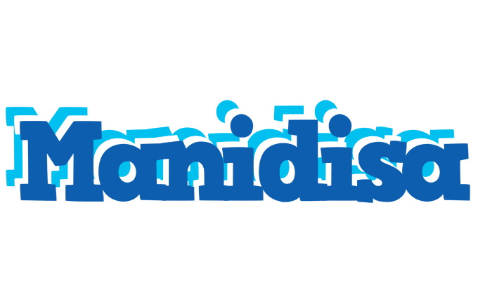 Manidisa business logo