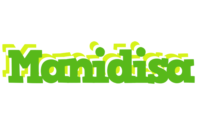 Manidisa picnic logo