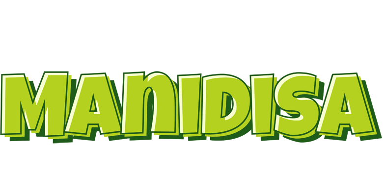 Manidisa summer logo