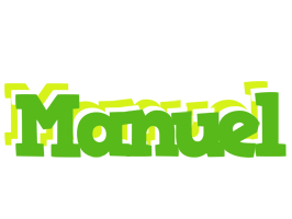 Manuel picnic logo