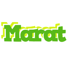 Marat picnic logo