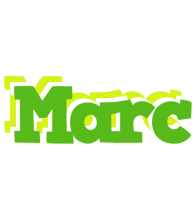 Marc picnic logo