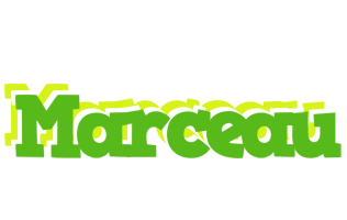 Marceau picnic logo