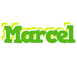 Marcel picnic logo