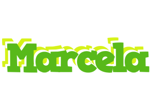 Marcela picnic logo