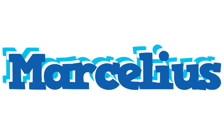 Marcelius business logo