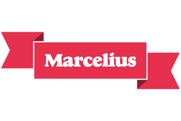 Marcelius sale logo