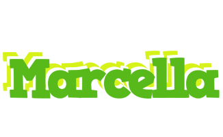 Marcella picnic logo