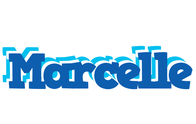 Marcelle business logo