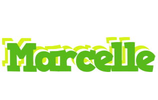 Marcelle picnic logo