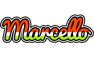 Marcello exotic logo