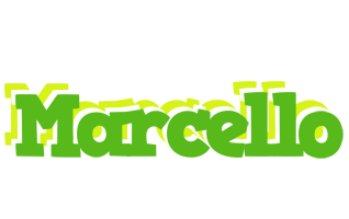 Marcello picnic logo