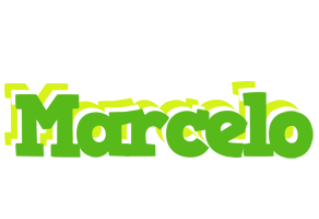 Marcelo picnic logo