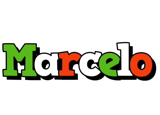 Marcelo venezia logo