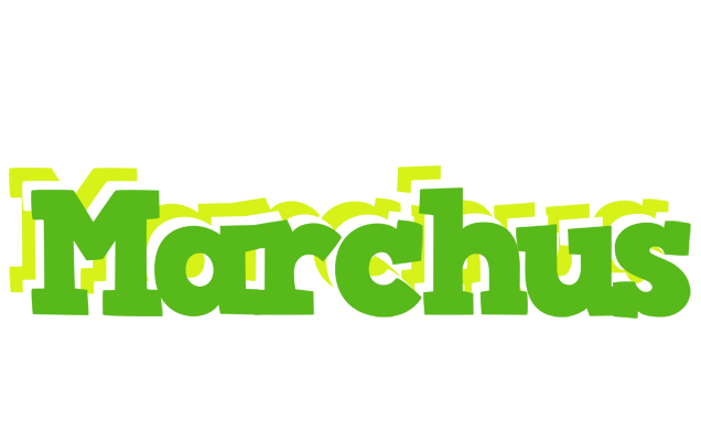 Marchus picnic logo