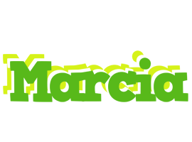 Marcia picnic logo