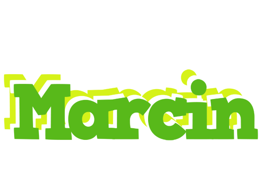 Marcin picnic logo