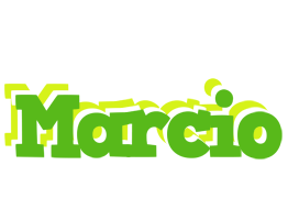 Marcio picnic logo