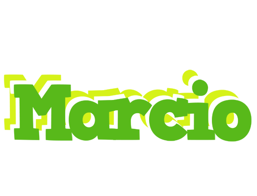Marcio picnic logo