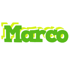 Marco picnic logo