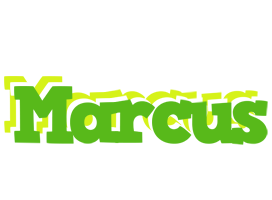 Marcus picnic logo