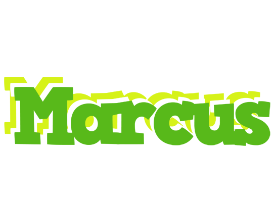 Marcus picnic logo