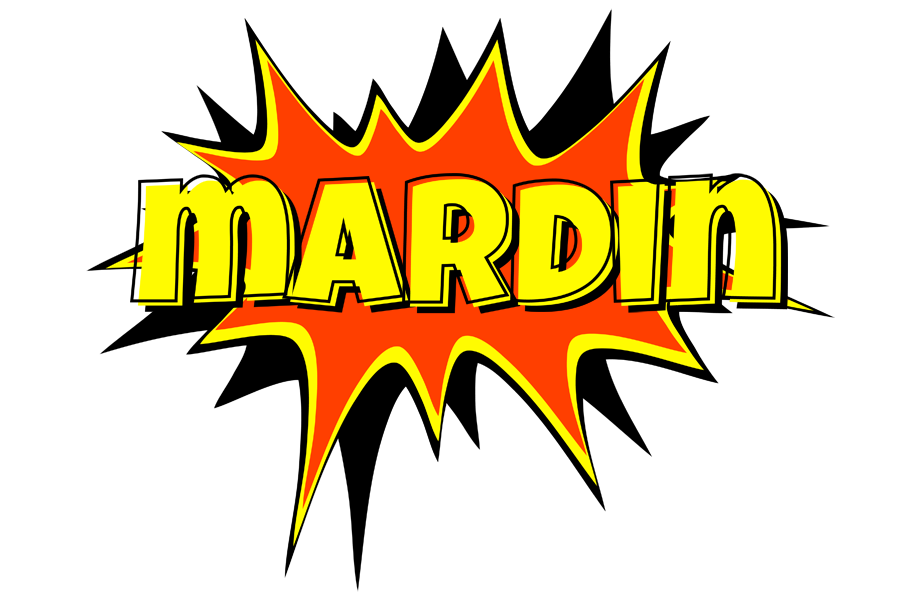 Mardin bazinga logo