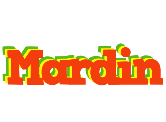 Mardin bbq logo