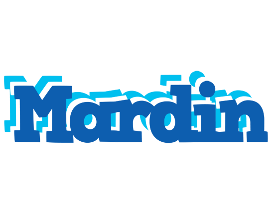 Mardin business logo