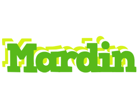 Mardin picnic logo