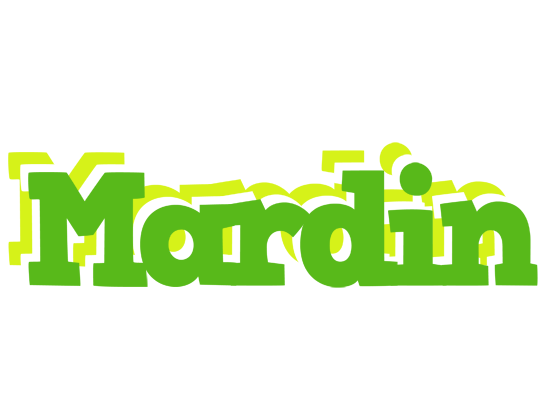 Mardin picnic logo