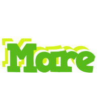 Mare picnic logo