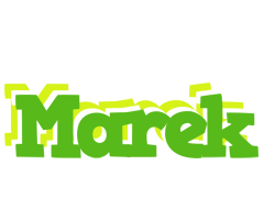 Marek picnic logo