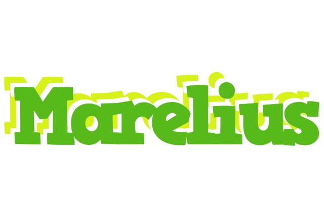 Marelius picnic logo