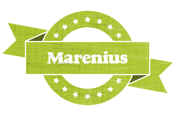 Marenius change logo