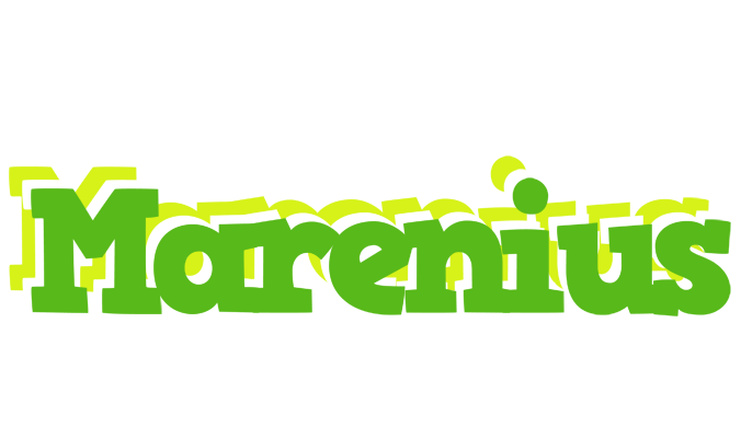Marenius picnic logo