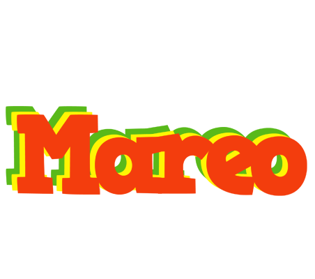 Mareo bbq logo