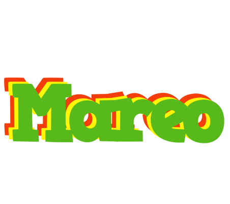 Mareo crocodile logo