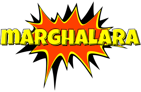 Marghalara bazinga logo