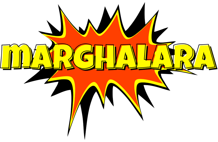 Marghalara bazinga logo