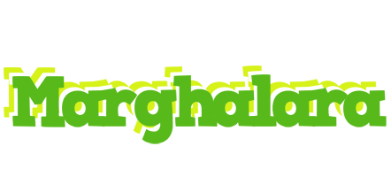 Marghalara picnic logo