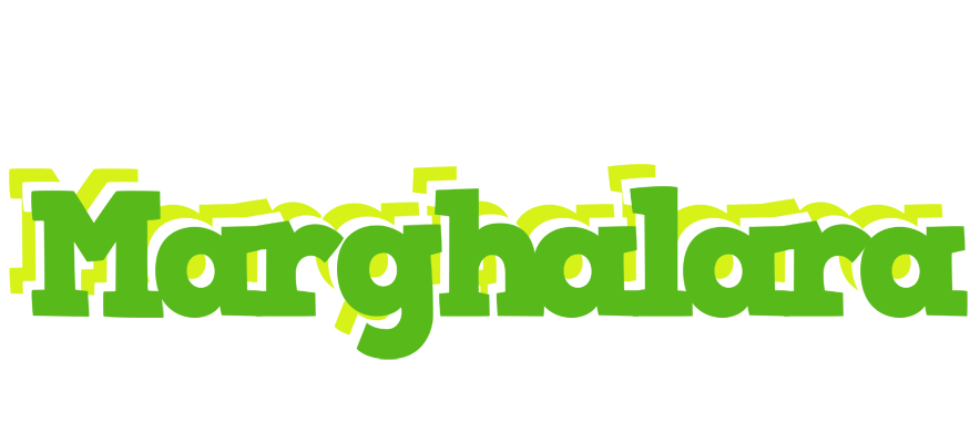 Marghalara picnic logo