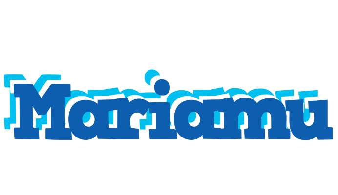 Mariamu business logo