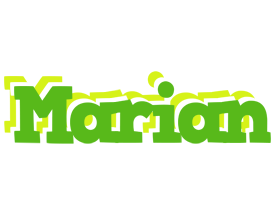 Marian picnic logo