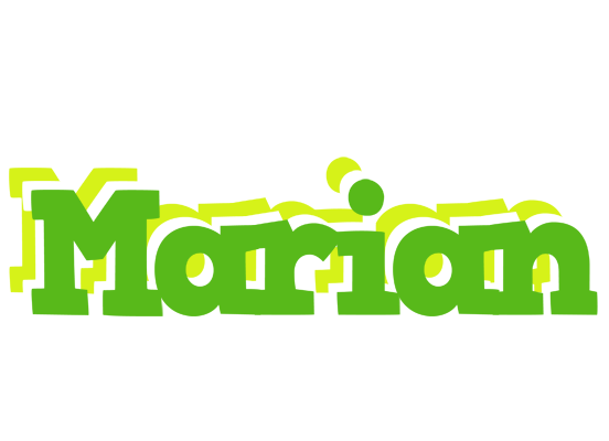 Marian picnic logo