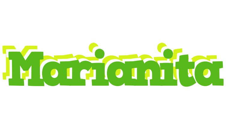 Marianita picnic logo
