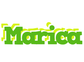 Marica picnic logo