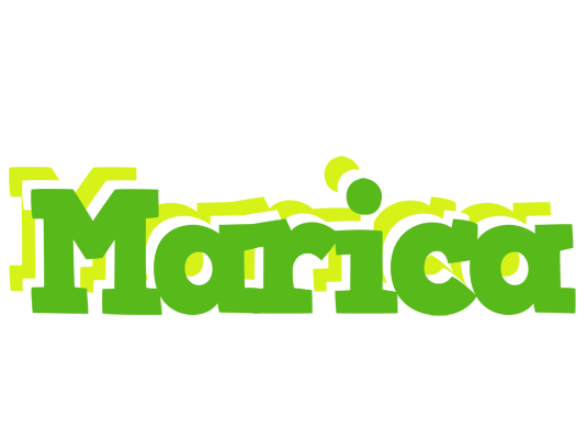 Marica picnic logo