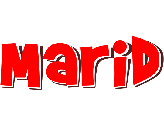 Marid basket logo